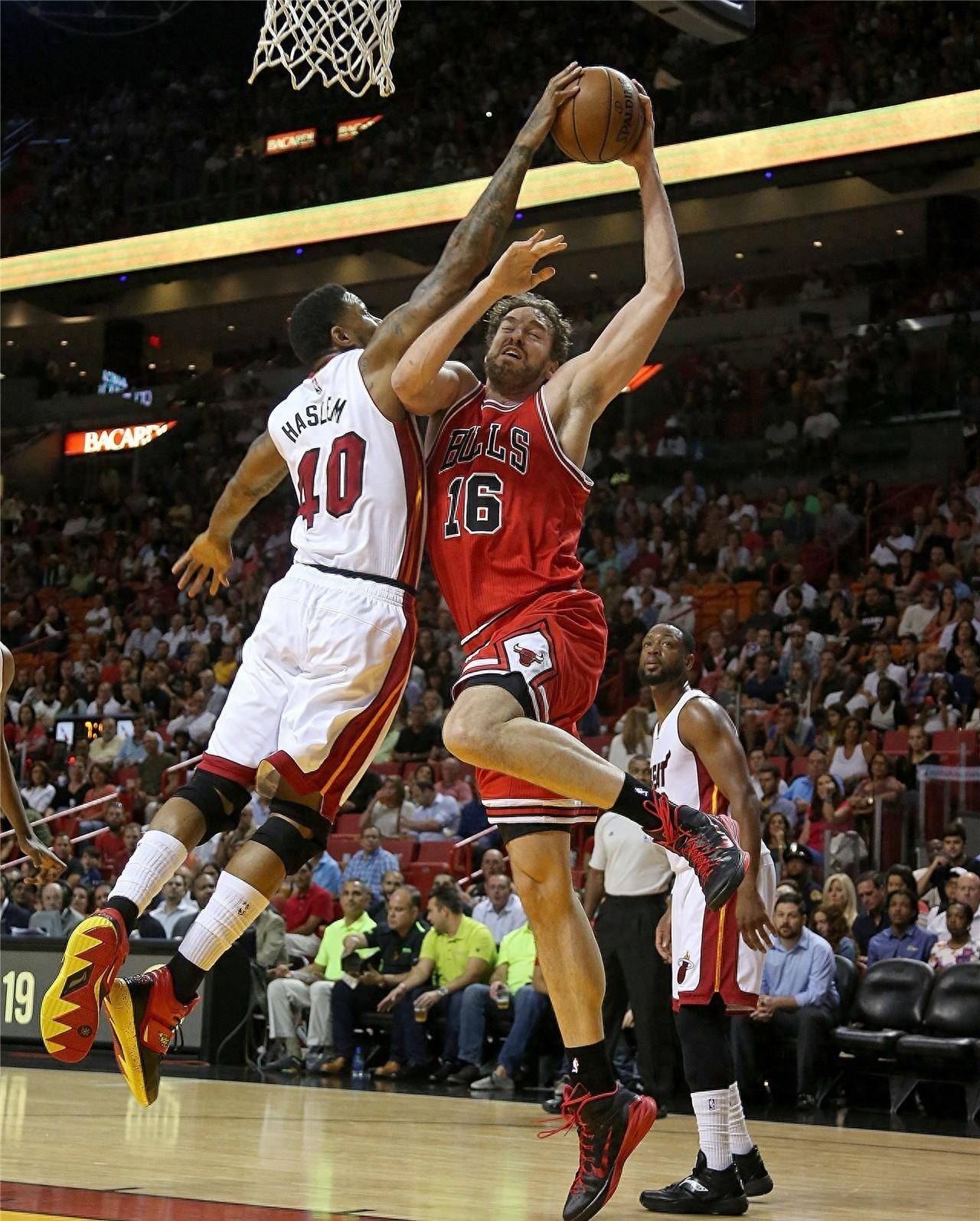 因此选手们 因此选手们