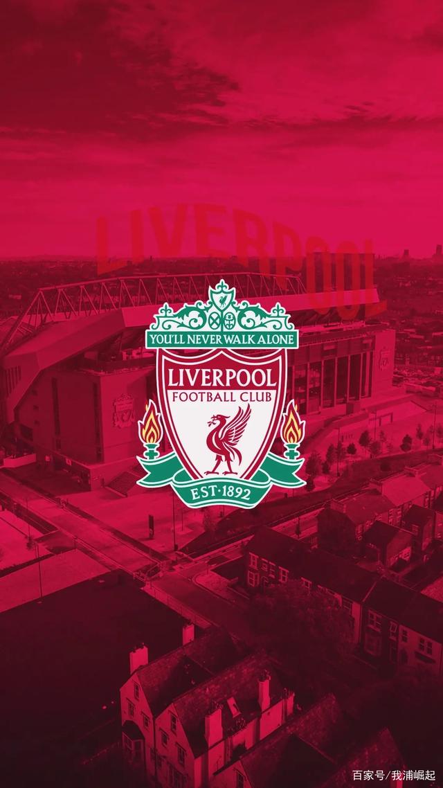 应的量化并 应的量化并